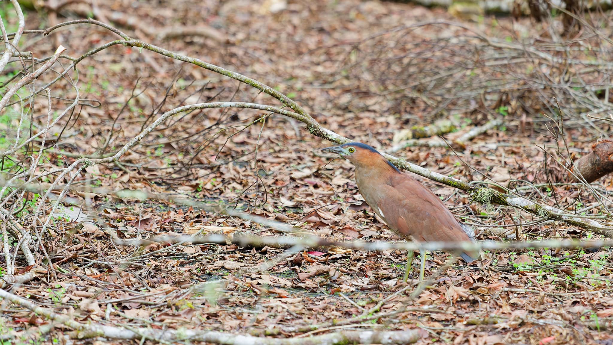 08 - Hualien (6).jpg